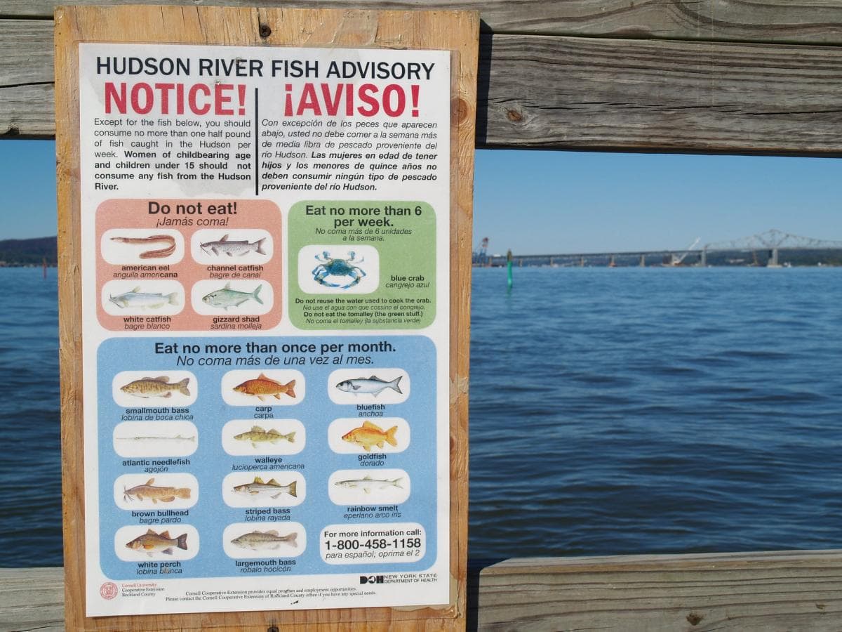 Fish advisory - PCBs