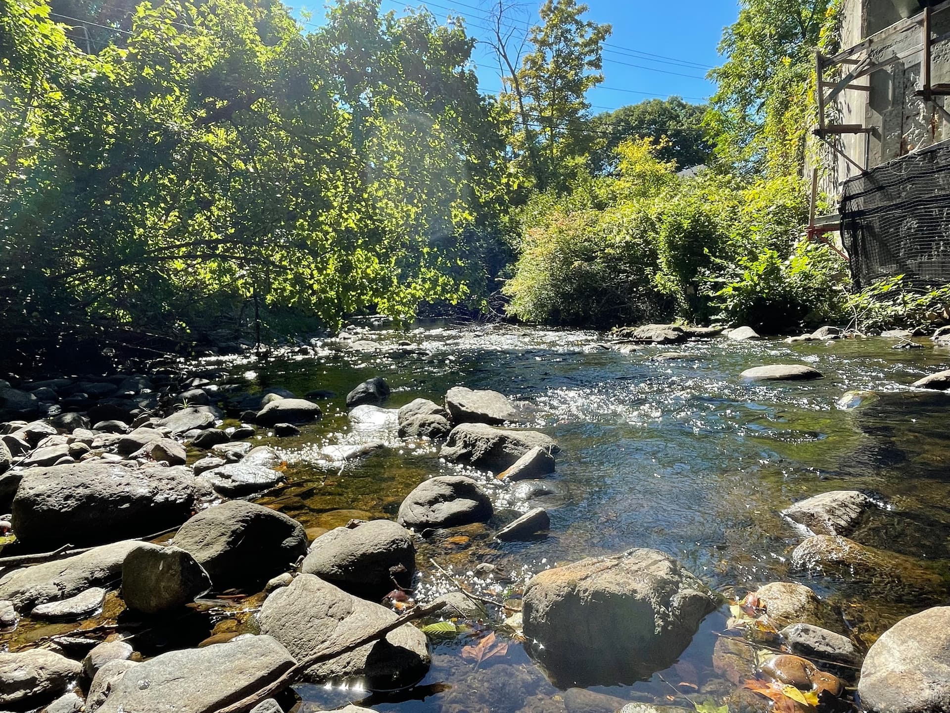 Peekskill Hollow Brook