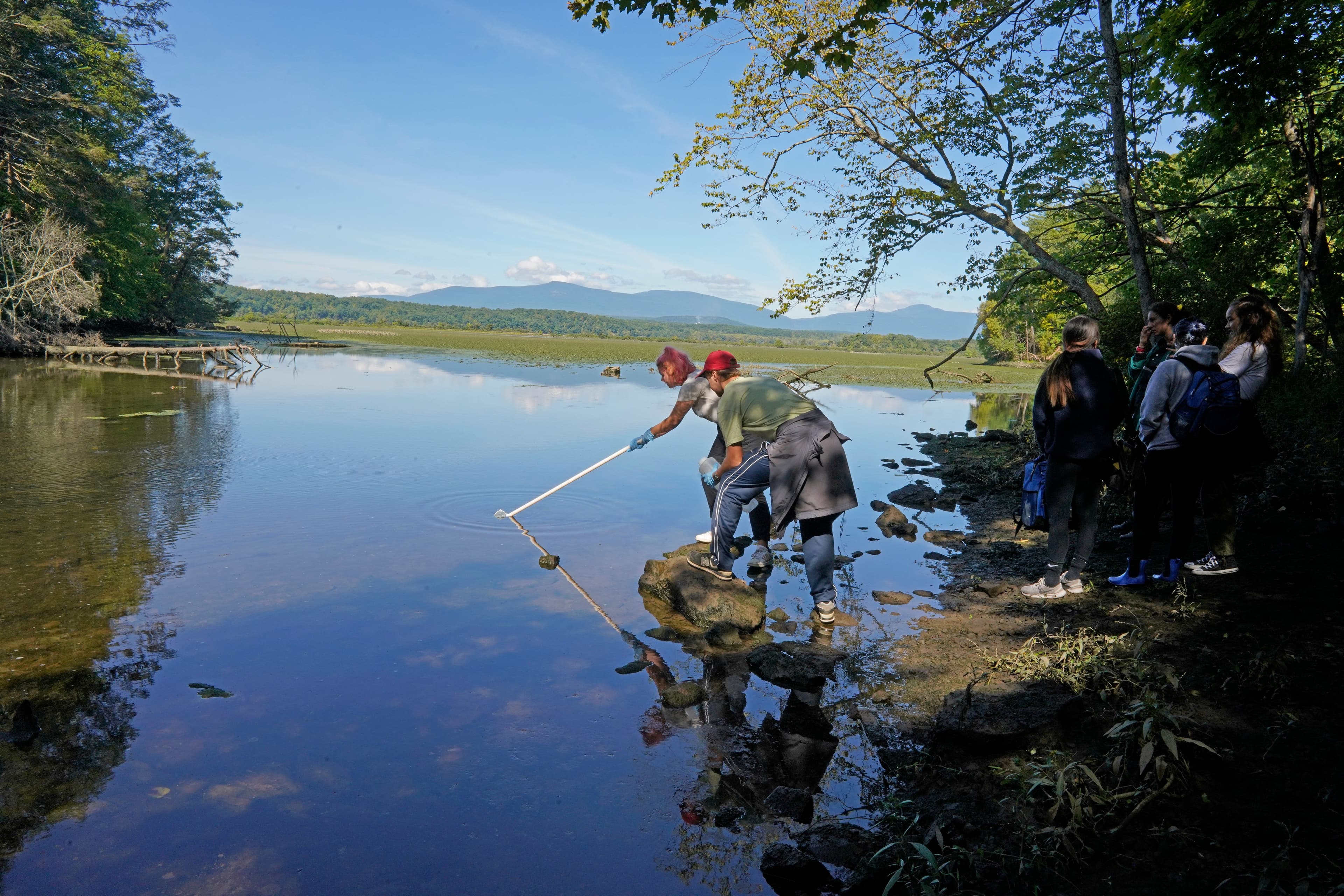 Sawkill sampling