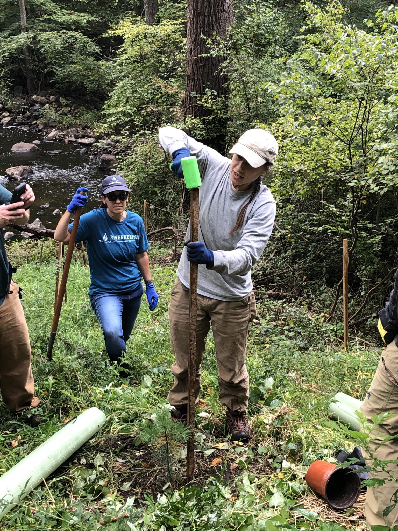 What happens when you remove a dam? One year later, life returns to a ...